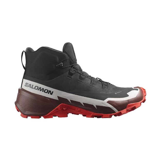 Picture of SALOMON CROSS HIKE MID GTX 2